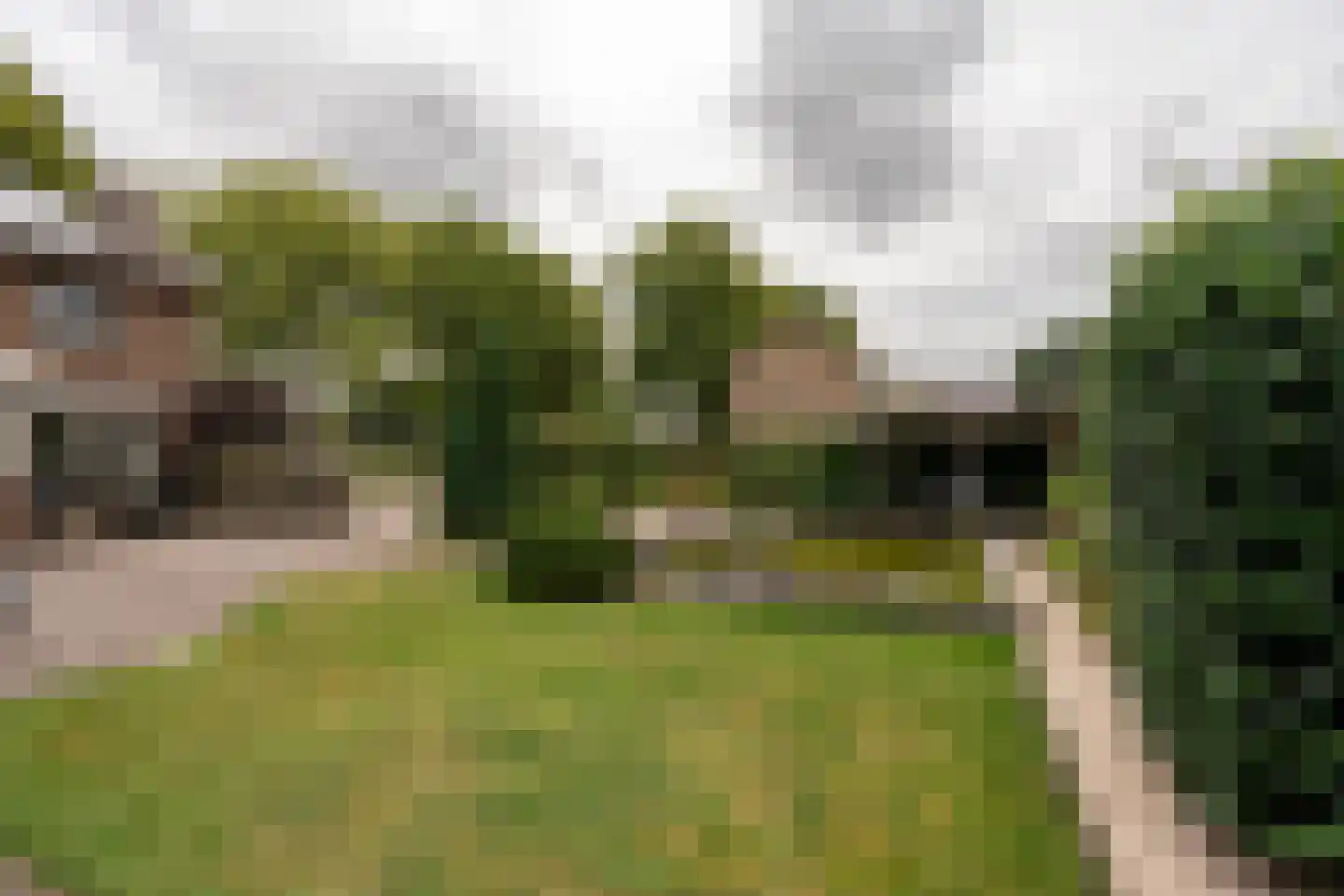 Parklaan 55 Nieuw-Buinen thumbnail 38