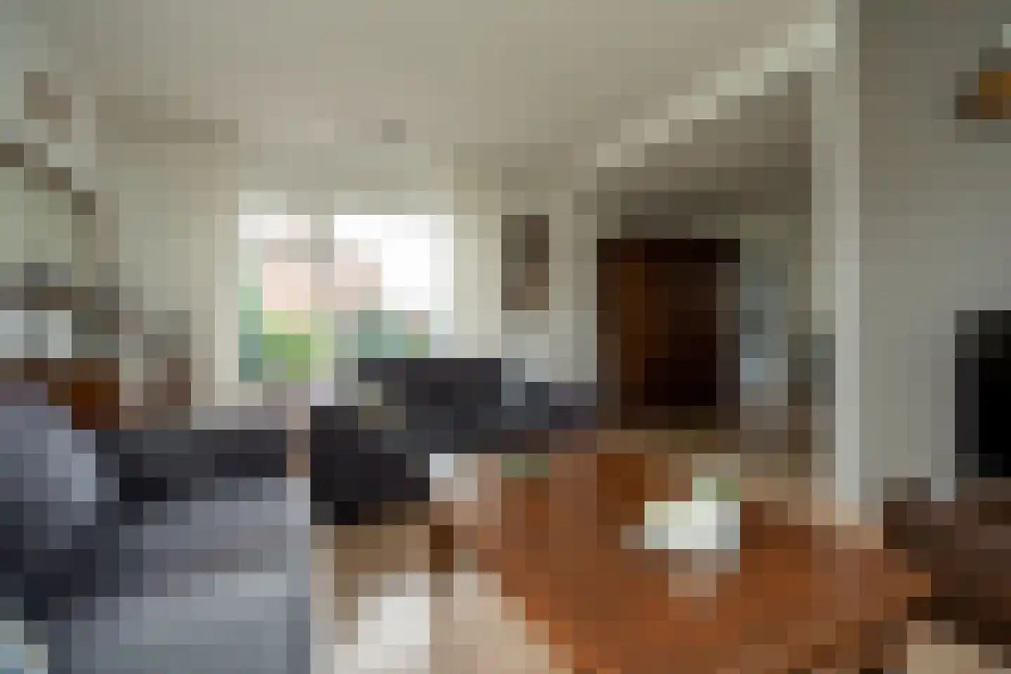 Parklaan 55 Nieuw-Buinen thumbnail 7