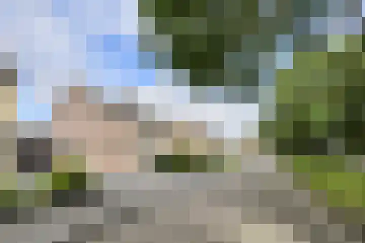 Parklaan 56 Raamsdonksveer thumbnail 11