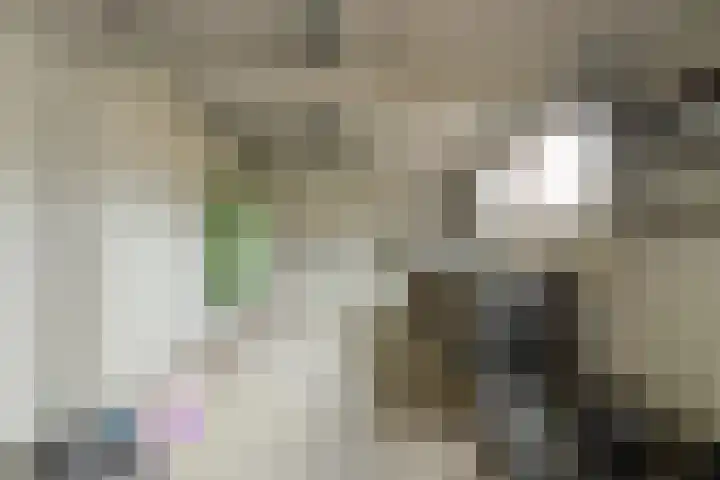 Parklaan 56 Raamsdonksveer thumbnail 52