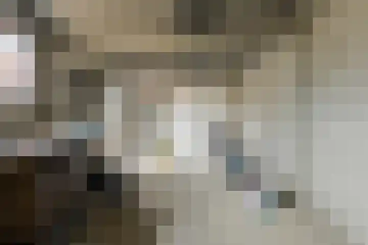 Parklaan 56 Raamsdonksveer thumbnail 53