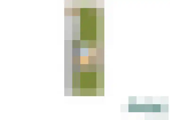 Parklaan 56 Raamsdonksveer thumbnail 57