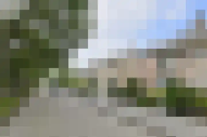 Parklaan 56 Raamsdonksveer thumbnail 9