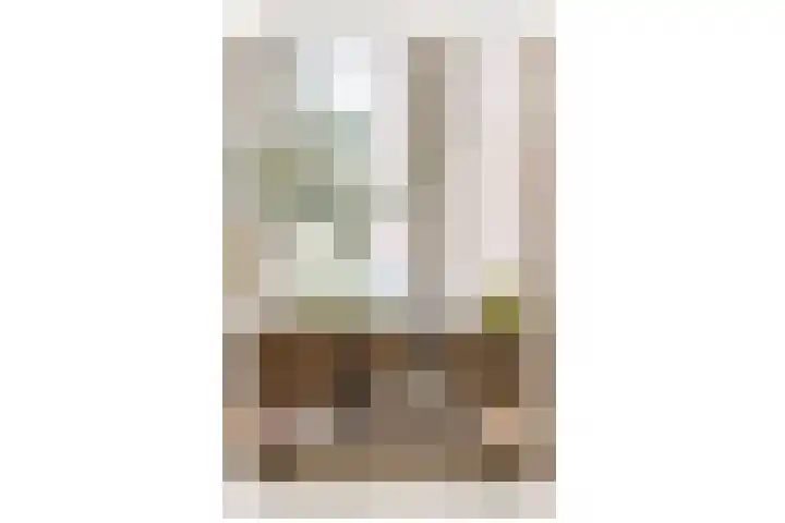 Parklaan 59 Haarlem thumbnail 22