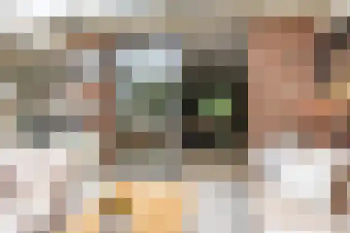 Parklaan 59 Hoofddorp thumbnail 24