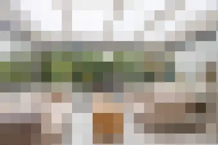 Parklaan 59 Hoofddorp thumbnail 25