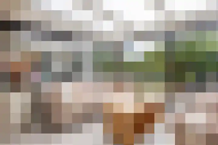 Parklaan 59 Hoofddorp thumbnail 26