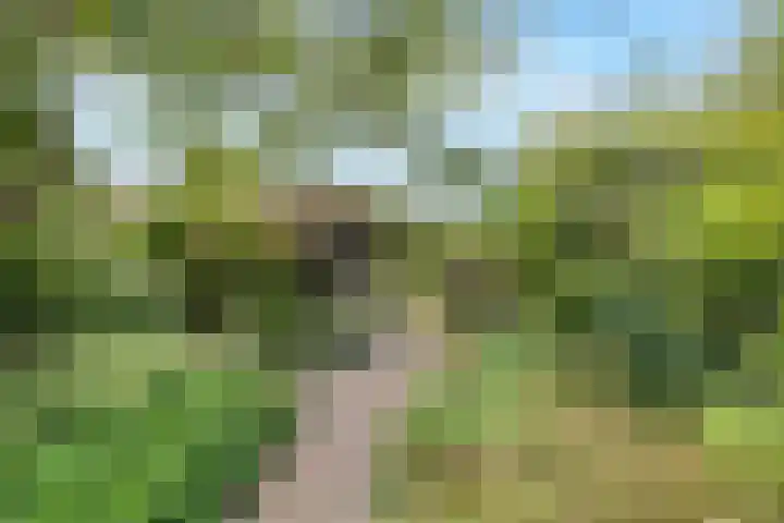 Parklaan 59 Hoofddorp thumbnail 4