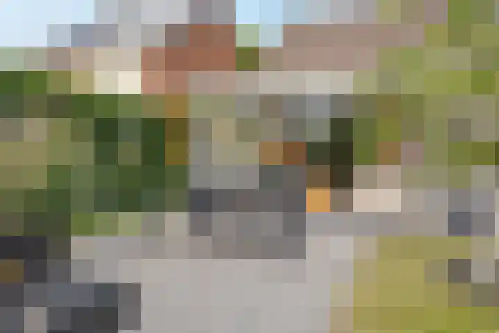 Parklaan 59 Hoofddorp thumbnail 56