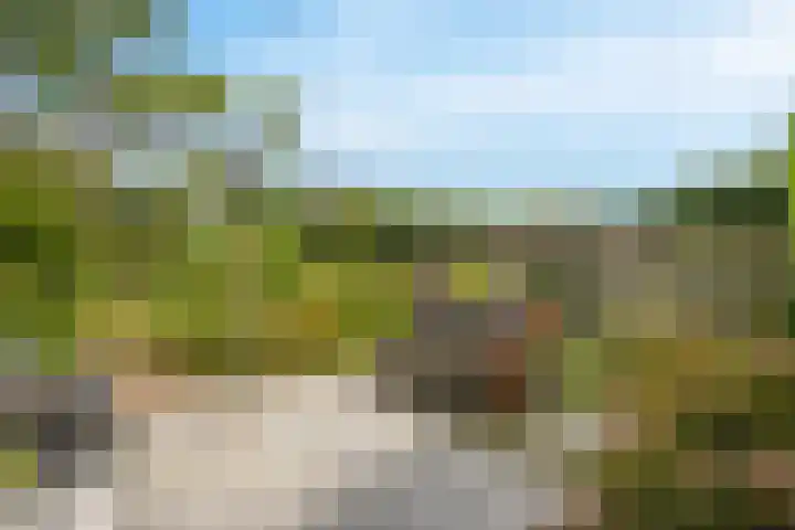 Parklaan 59 Hoofddorp thumbnail 58