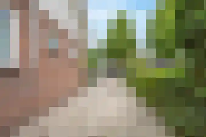 Parklaan 59 Hoofddorp thumbnail 8