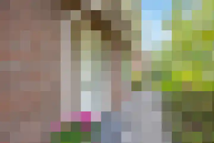 Parklaan 59 Hoofddorp thumbnail 9