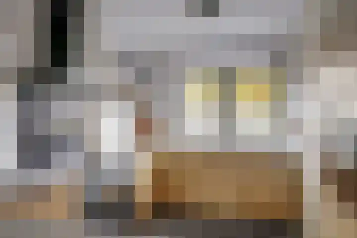 Parklaan 59 Waddinxveen thumbnail 15