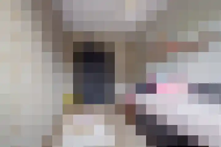 Parklaan 59 Waddinxveen thumbnail 23