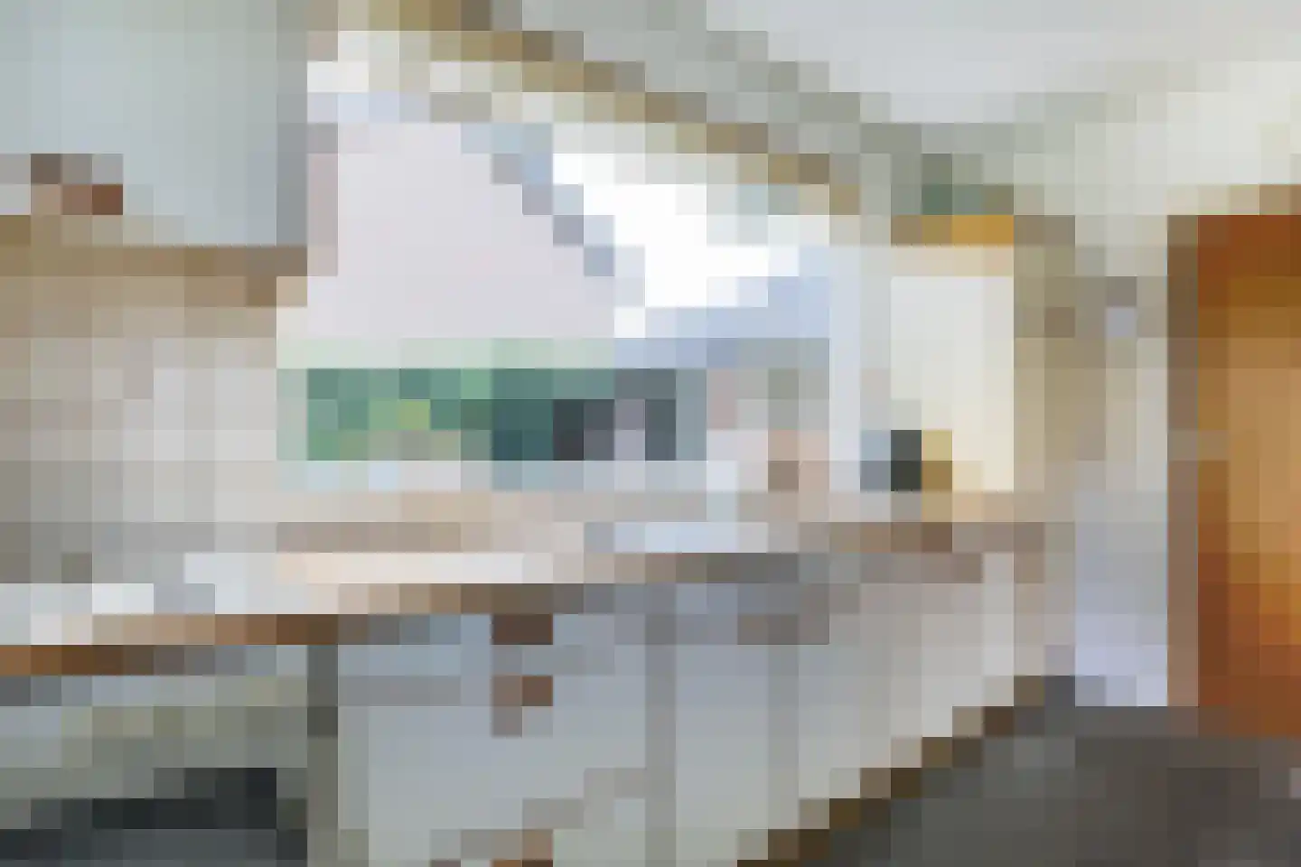 Parklaan 6 Hoevelaken thumbnail 14
