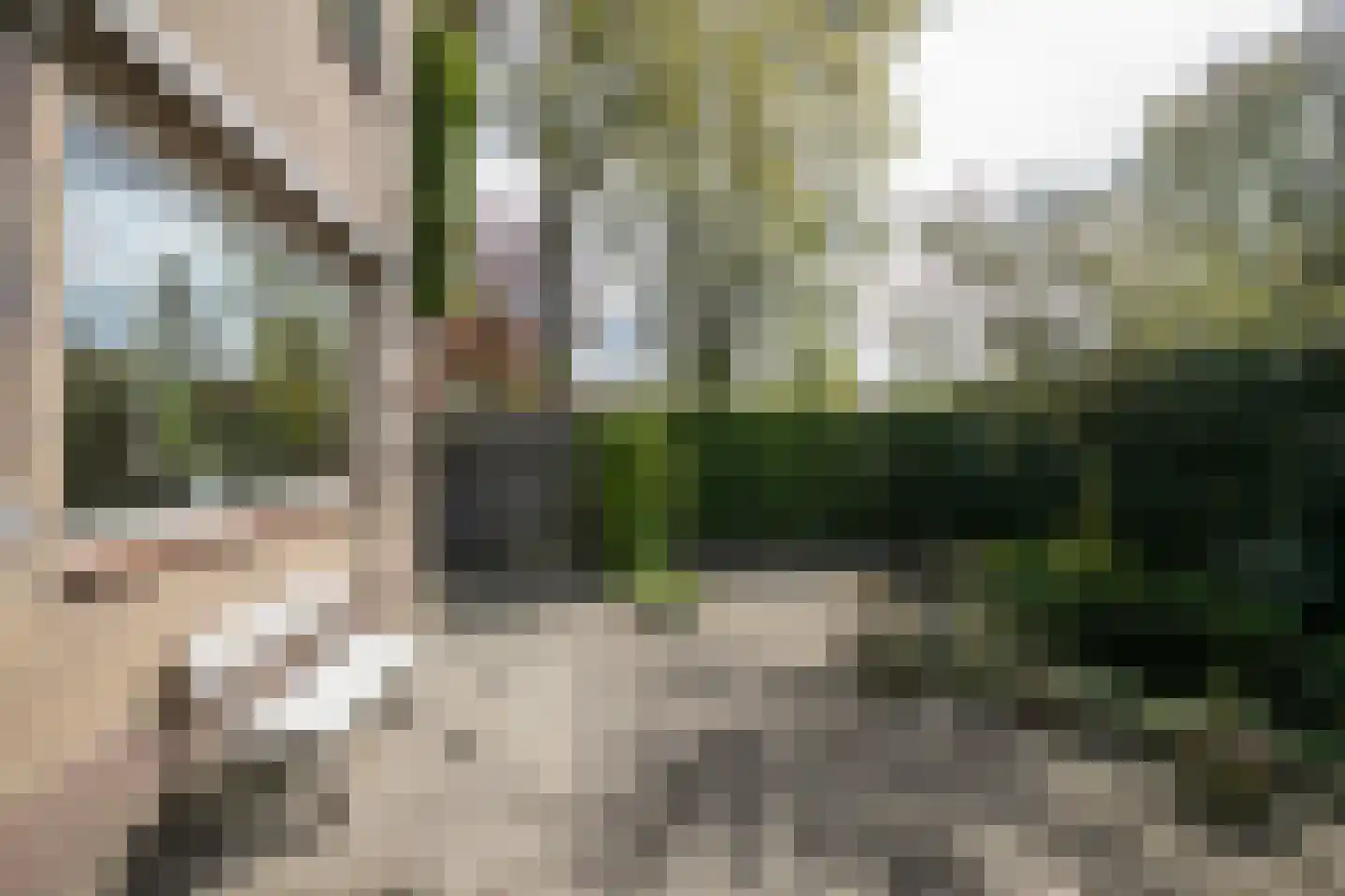 Parklaan 6 Hoevelaken thumbnail 31