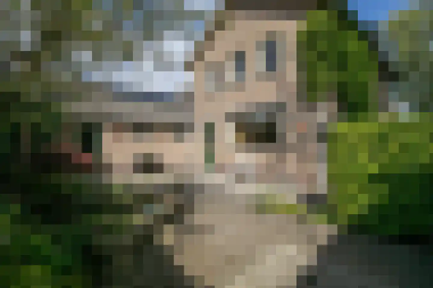 Parklaan 6 Hoevelaken thumbnail 33