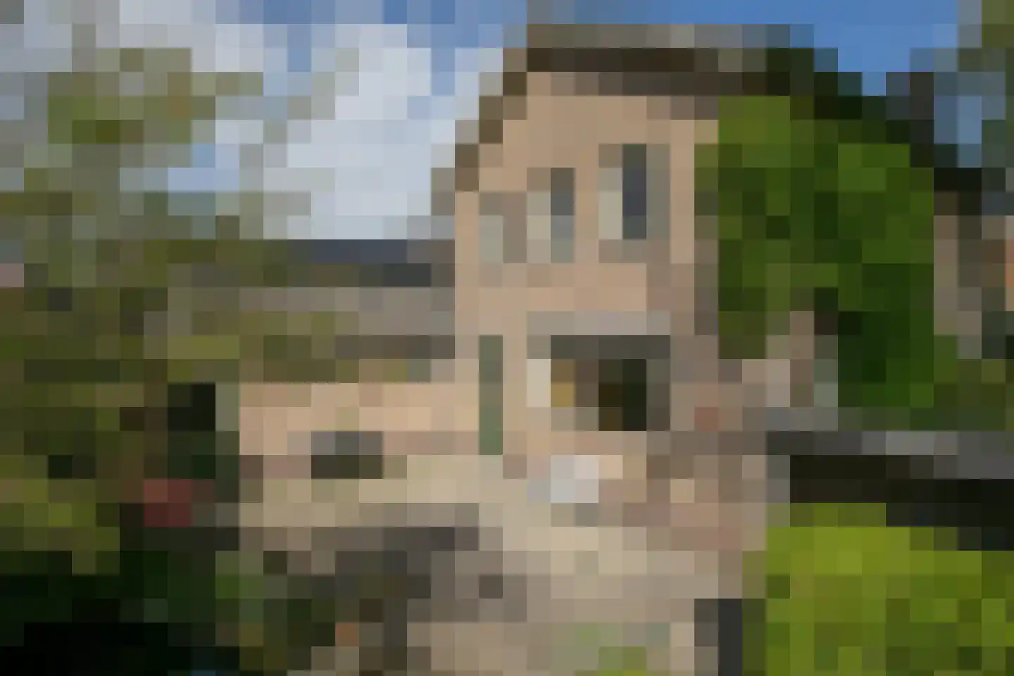 Parklaan 6 Hoevelaken thumbnail 34