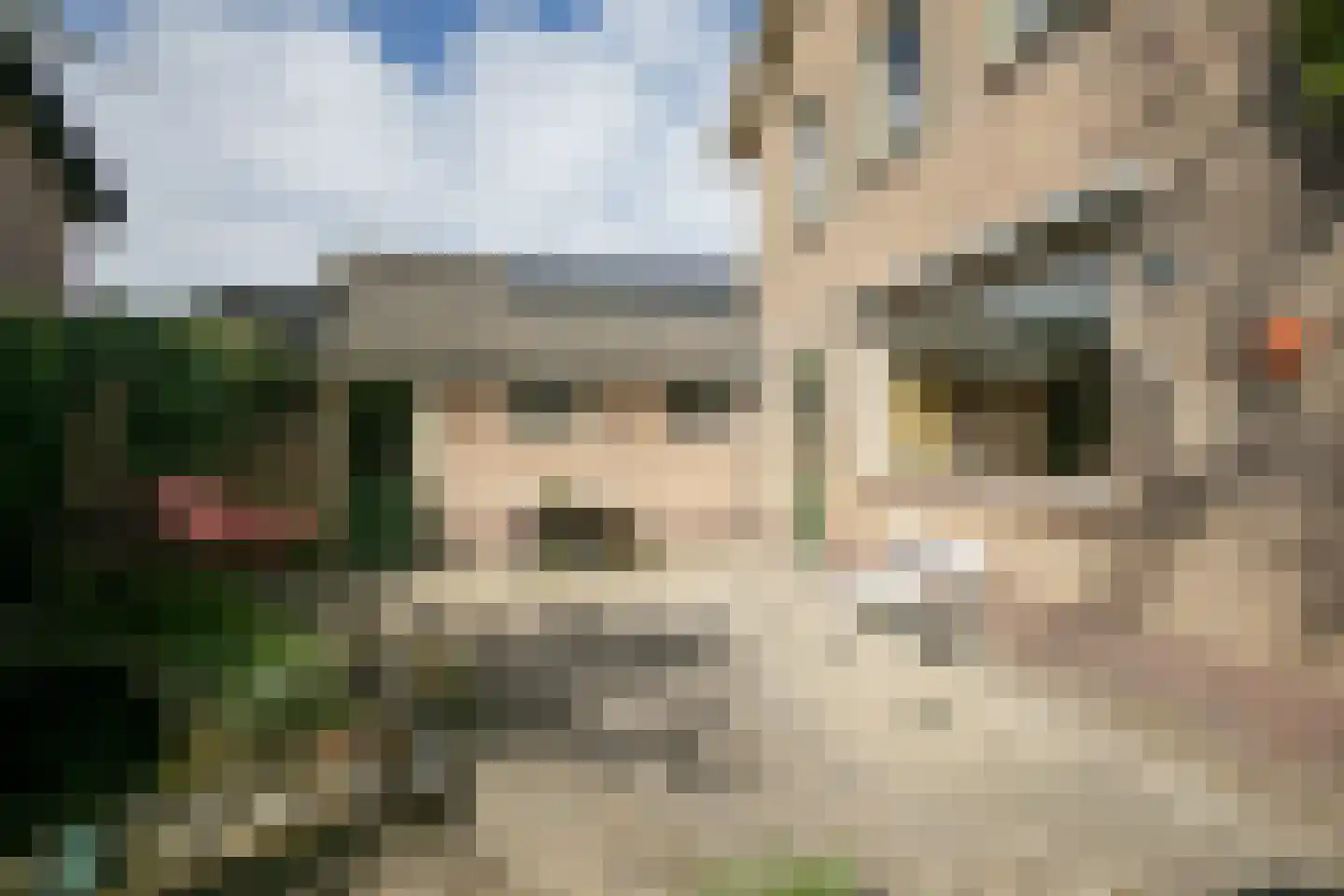Parklaan 6 Hoevelaken thumbnail 36