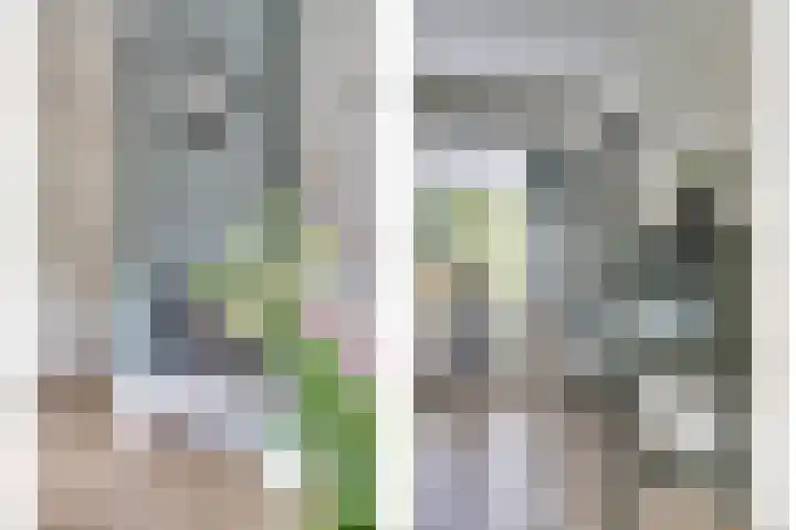 Parklaan 6 Kapelle thumbnail 10