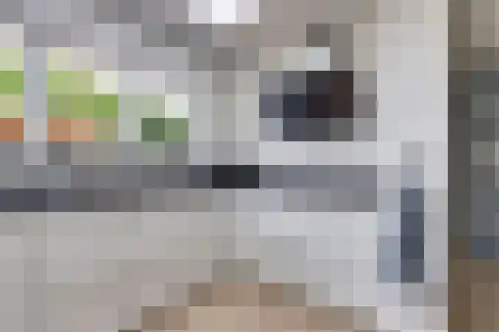 Parklaan 6 Kapelle thumbnail 15