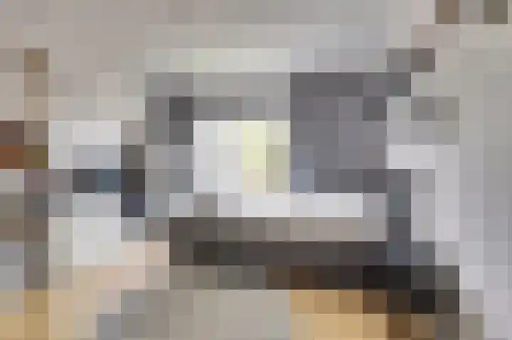 Parklaan 6 Kapelle thumbnail 21
