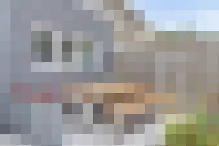 Parklaan 6 Kapelle thumbnail 33