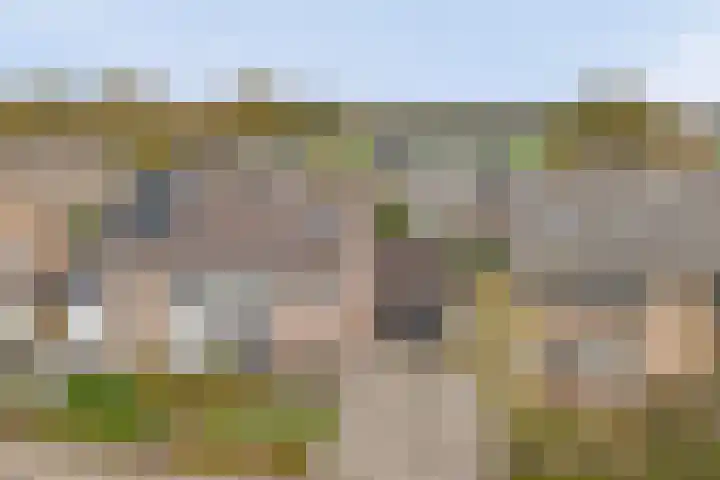 Parklaan 6 Kapelle thumbnail 43