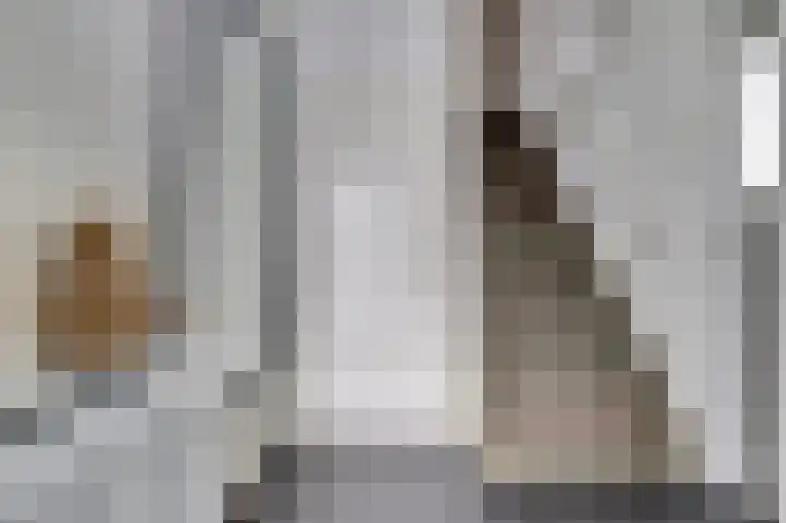 Parklaan 6 Kapelle thumbnail 5