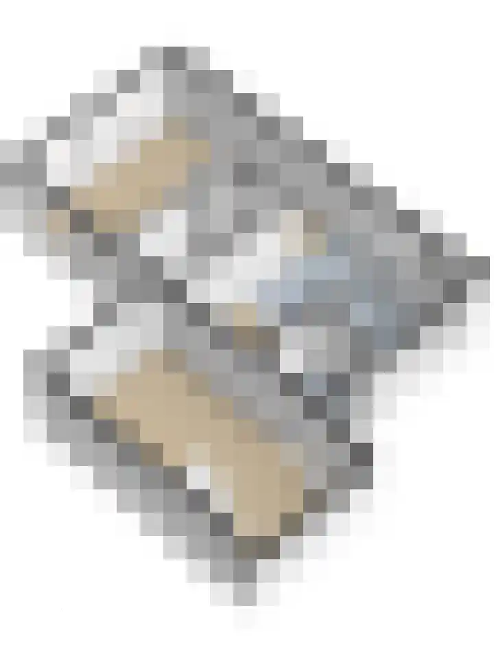Parklaan 6 Kapelle thumbnail 50