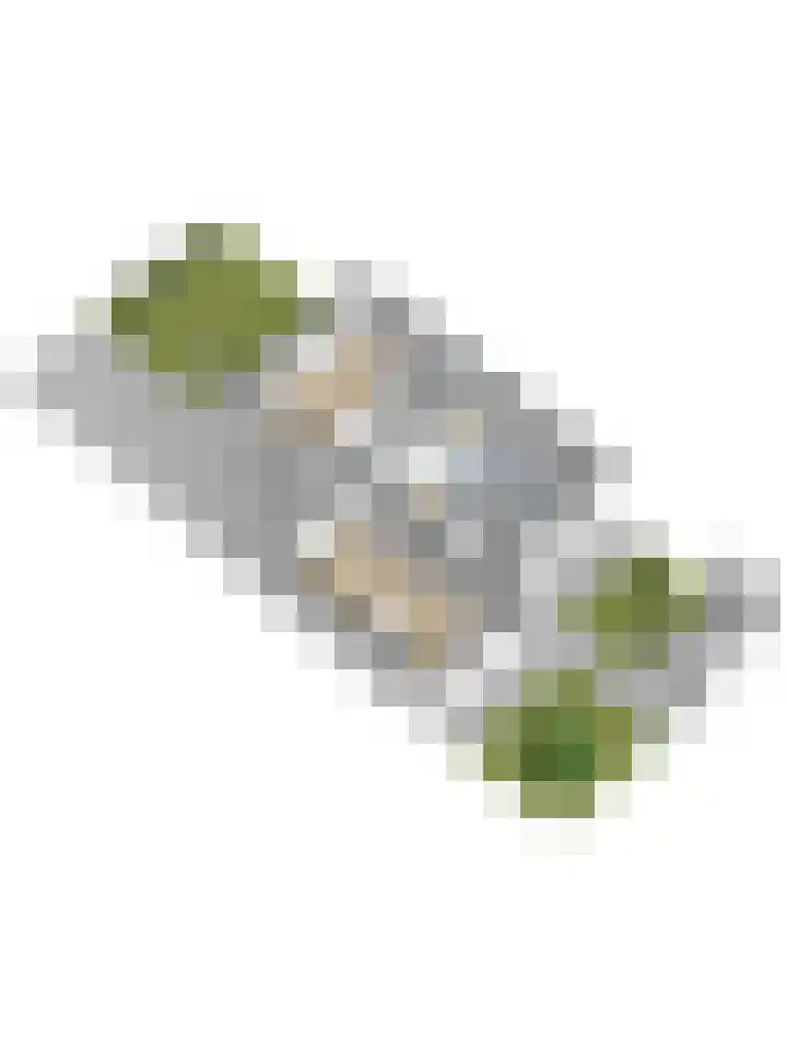 Parklaan 6 Kapelle thumbnail 54