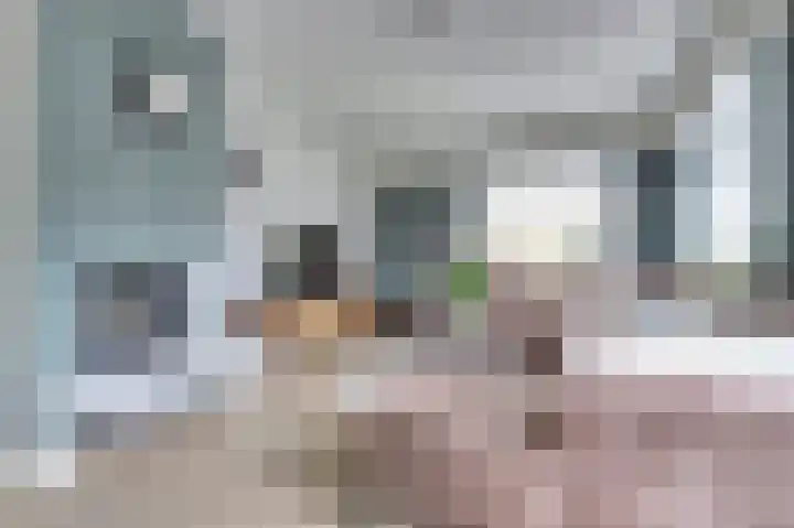 Parklaan 6 Kapelle thumbnail 8