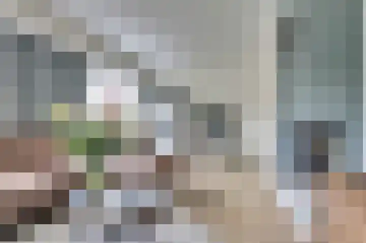 Parklaan 6 Kapelle thumbnail 9