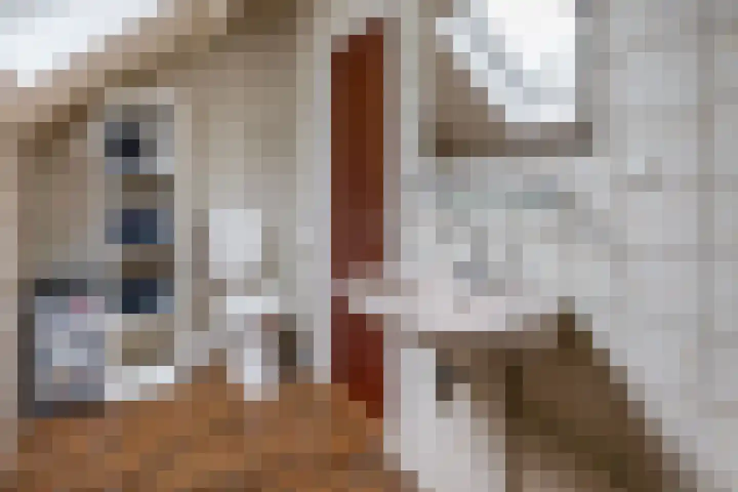 Parklaan 6 Midwolda thumbnail 30