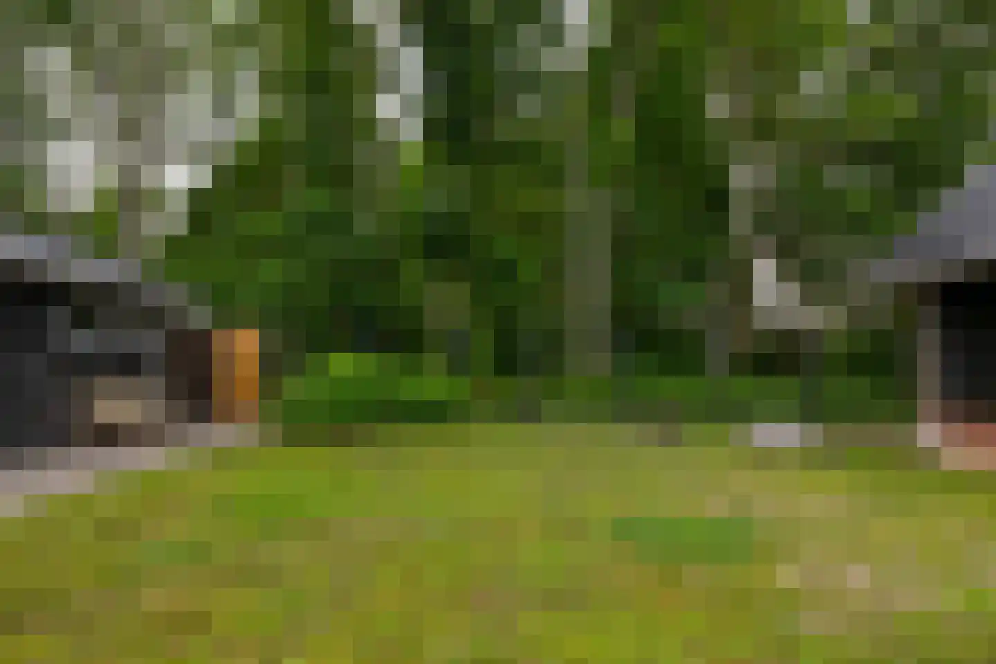 Parklaan 6 Midwolda thumbnail 38