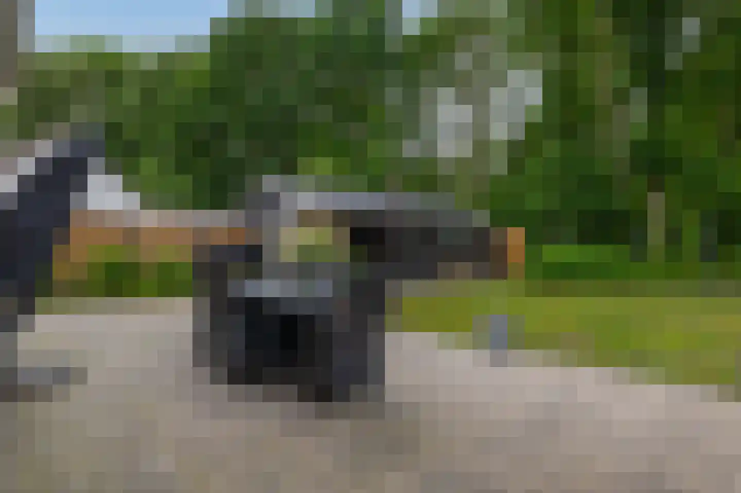 Parklaan 6 Midwolda thumbnail 39