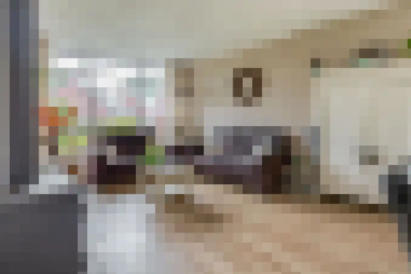 Parklaan 6 Midwolda thumbnail 4