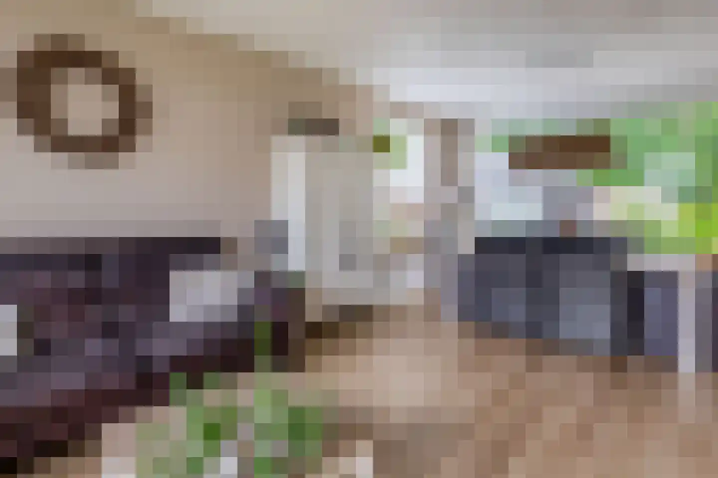 Parklaan 6 Midwolda thumbnail 6