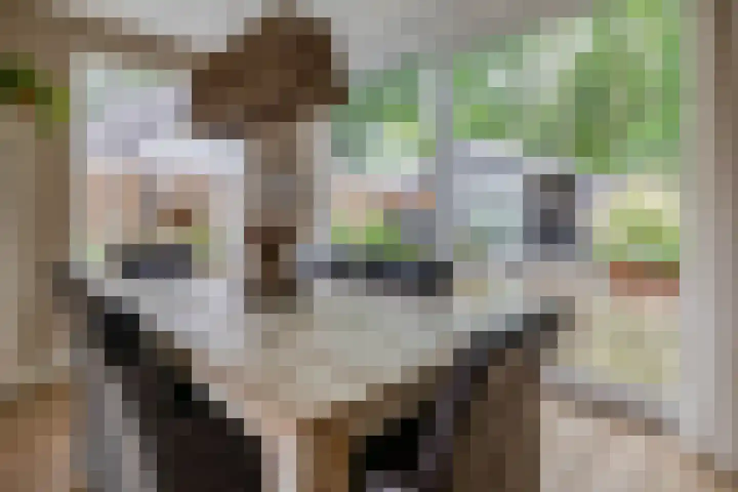 Parklaan 6 Midwolda thumbnail 9