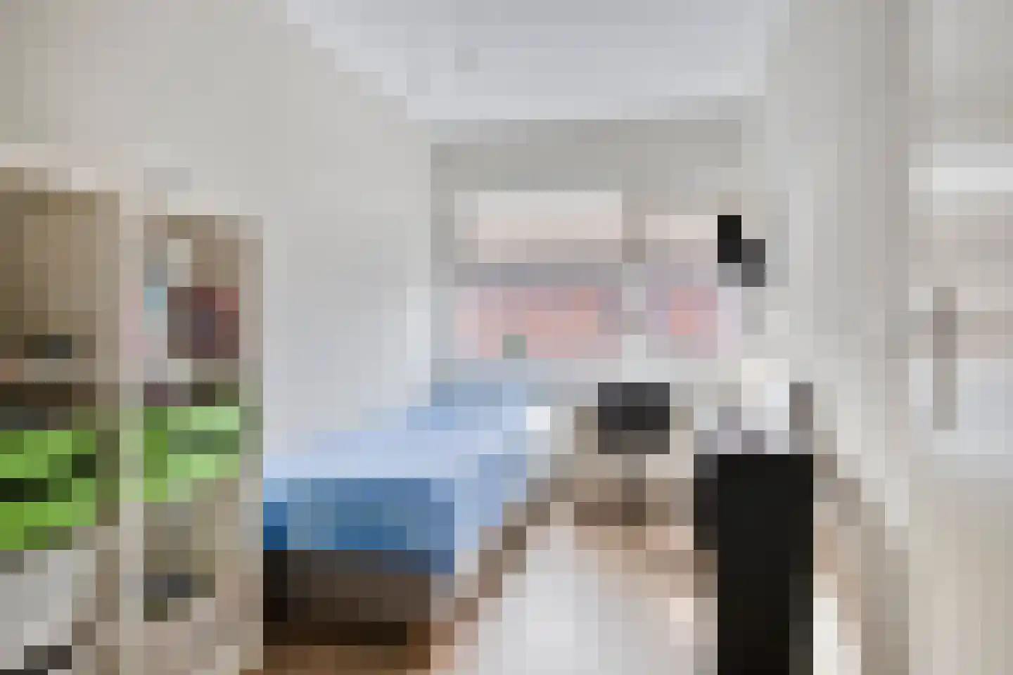 Parklaan 6 Pijnacker thumbnail 21