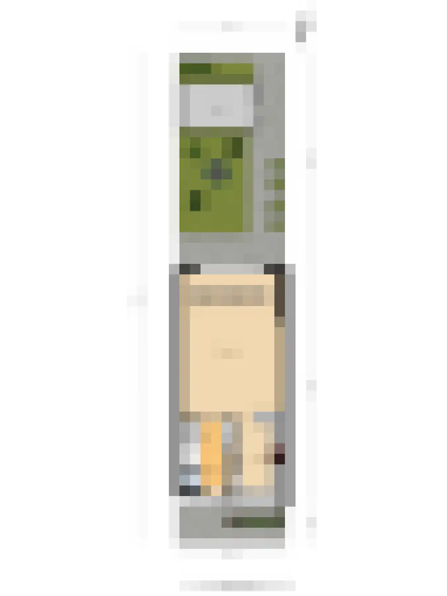 Parklaan 6 Pijnacker thumbnail 30