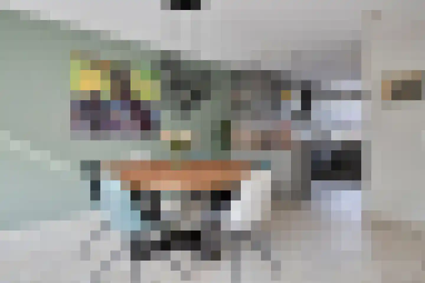 Parklaan 6 Pijnacker thumbnail 9