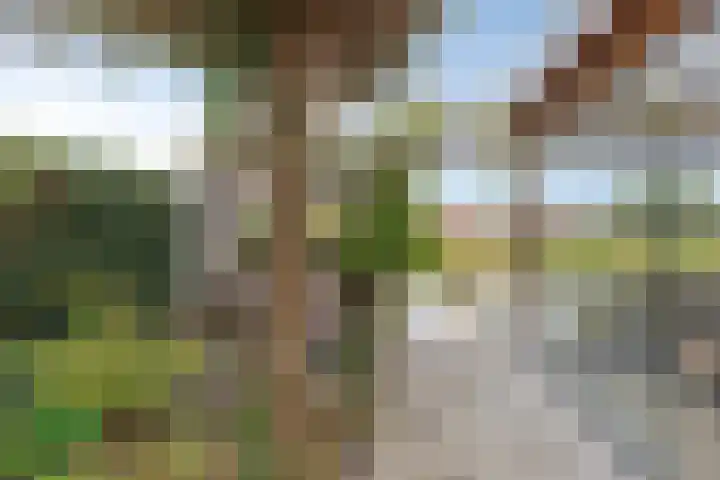 Parklaan 60 De Lier thumbnail 11