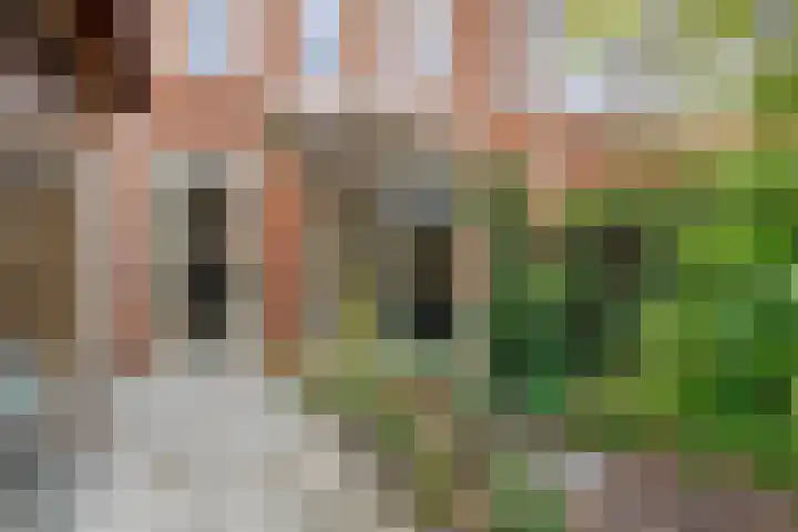 Parklaan 60 De Lier thumbnail 12