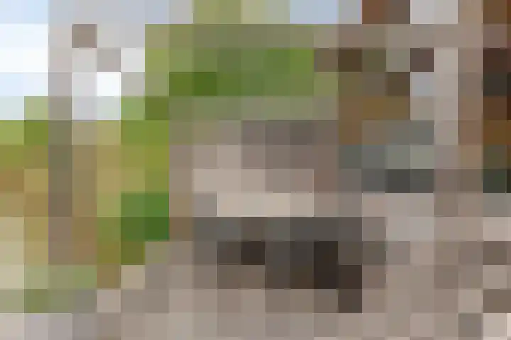 Parklaan 60 De Lier thumbnail 15
