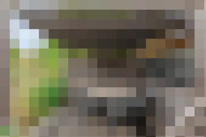 Parklaan 60 De Lier thumbnail 16