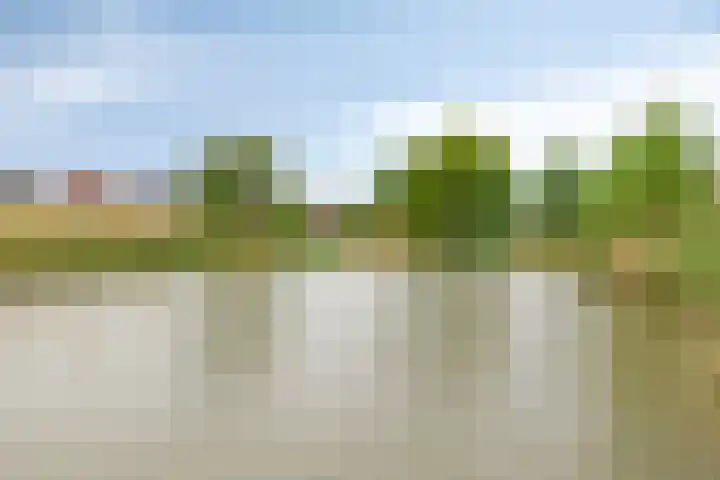 Parklaan 60 De Lier thumbnail 18