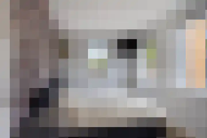 Parklaan 60 De Lier thumbnail 22
