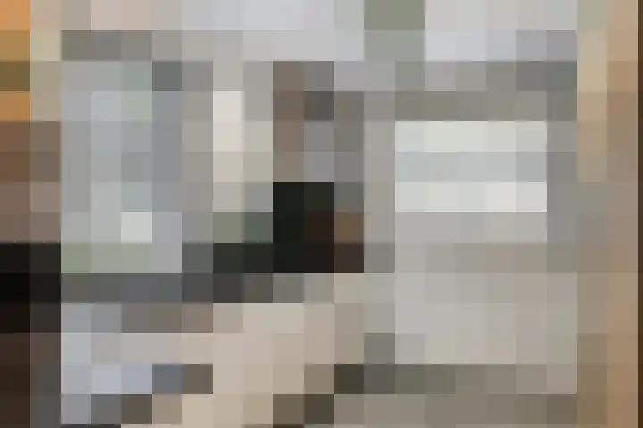 Parklaan 60 De Lier thumbnail 9
