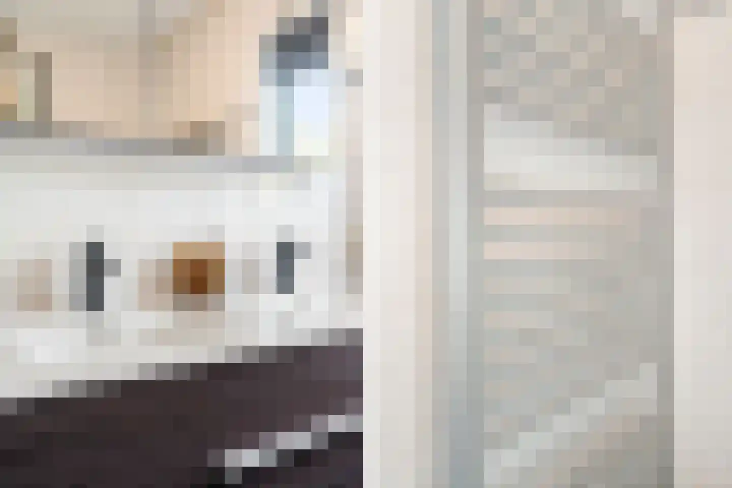 Parklaan 62 Pijnacker thumbnail 29